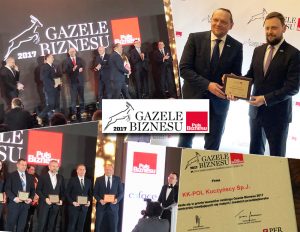 Gazele Biznesu 2017
